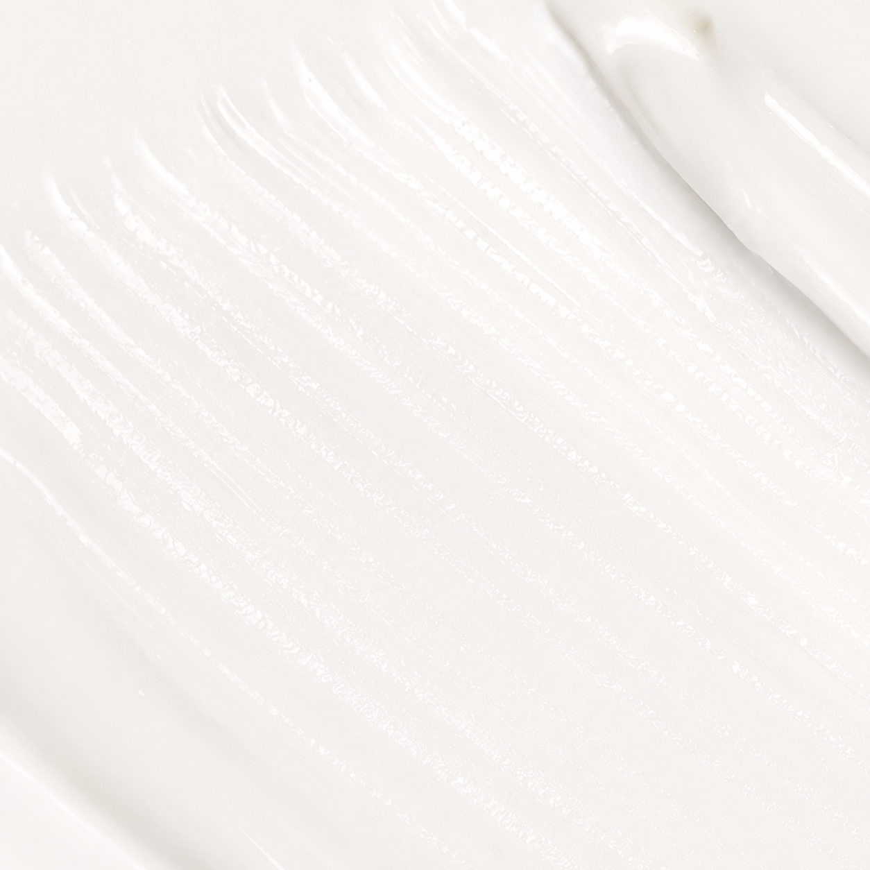 Camellia Moonlight Cream