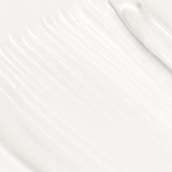 Camellia Moonlight Cream