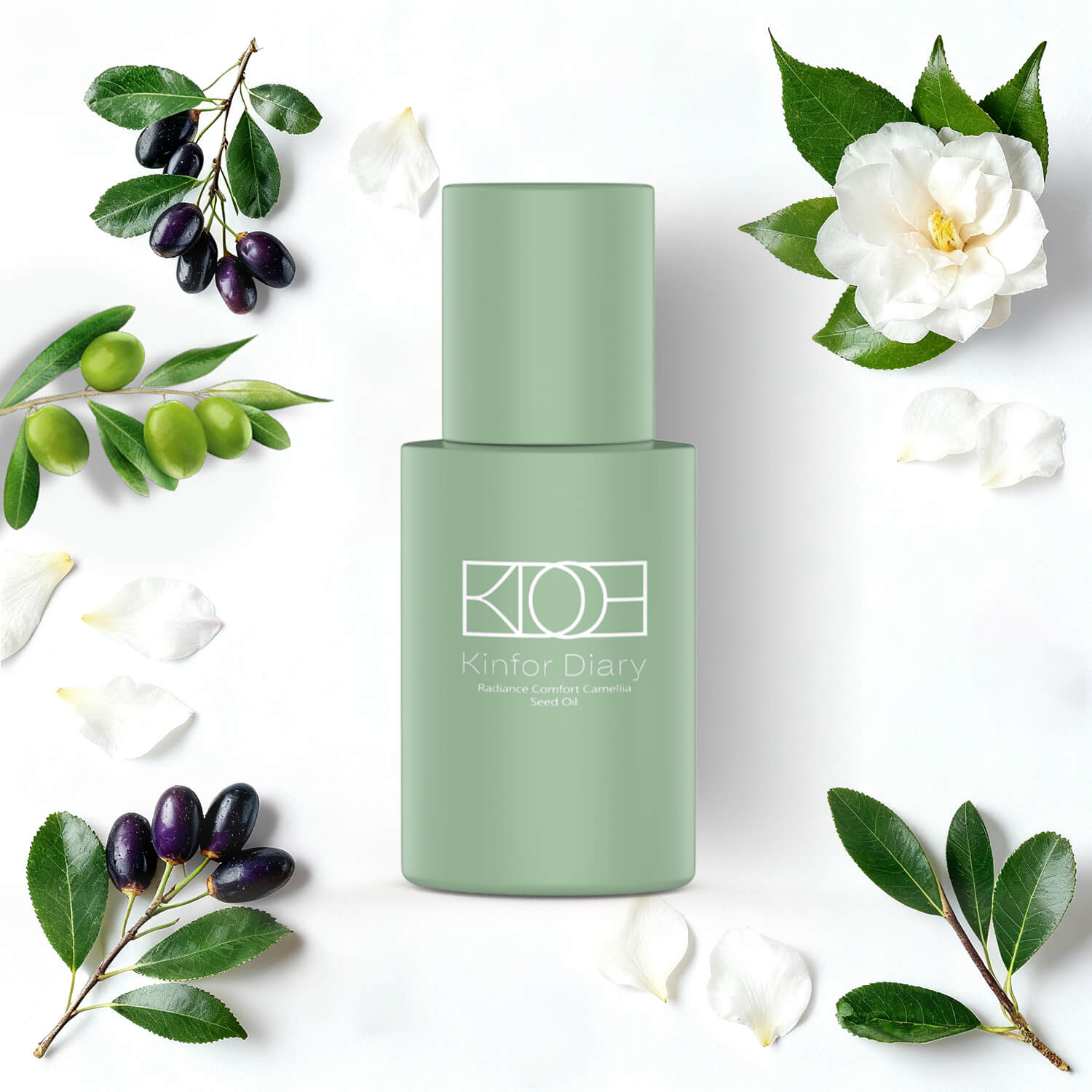 Stay Up Late Essential Set