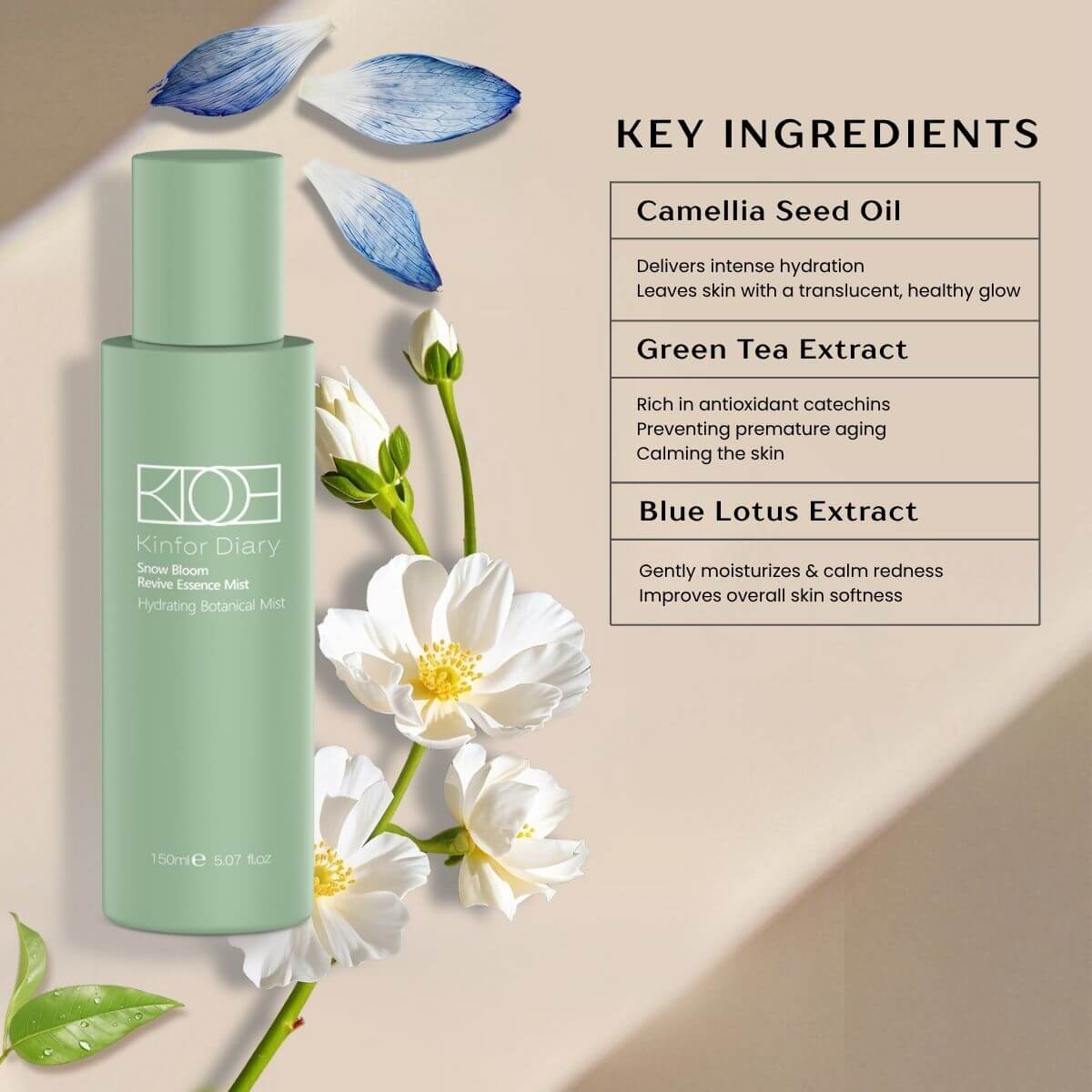 Kinfor Diary Complete Set