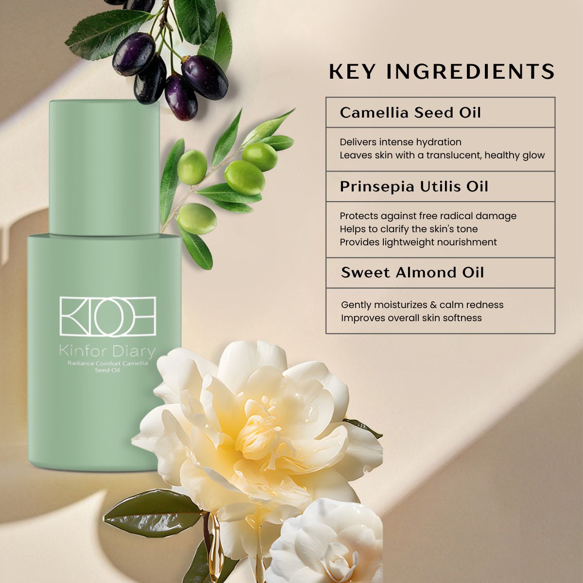 Stay Up Late Essential Set