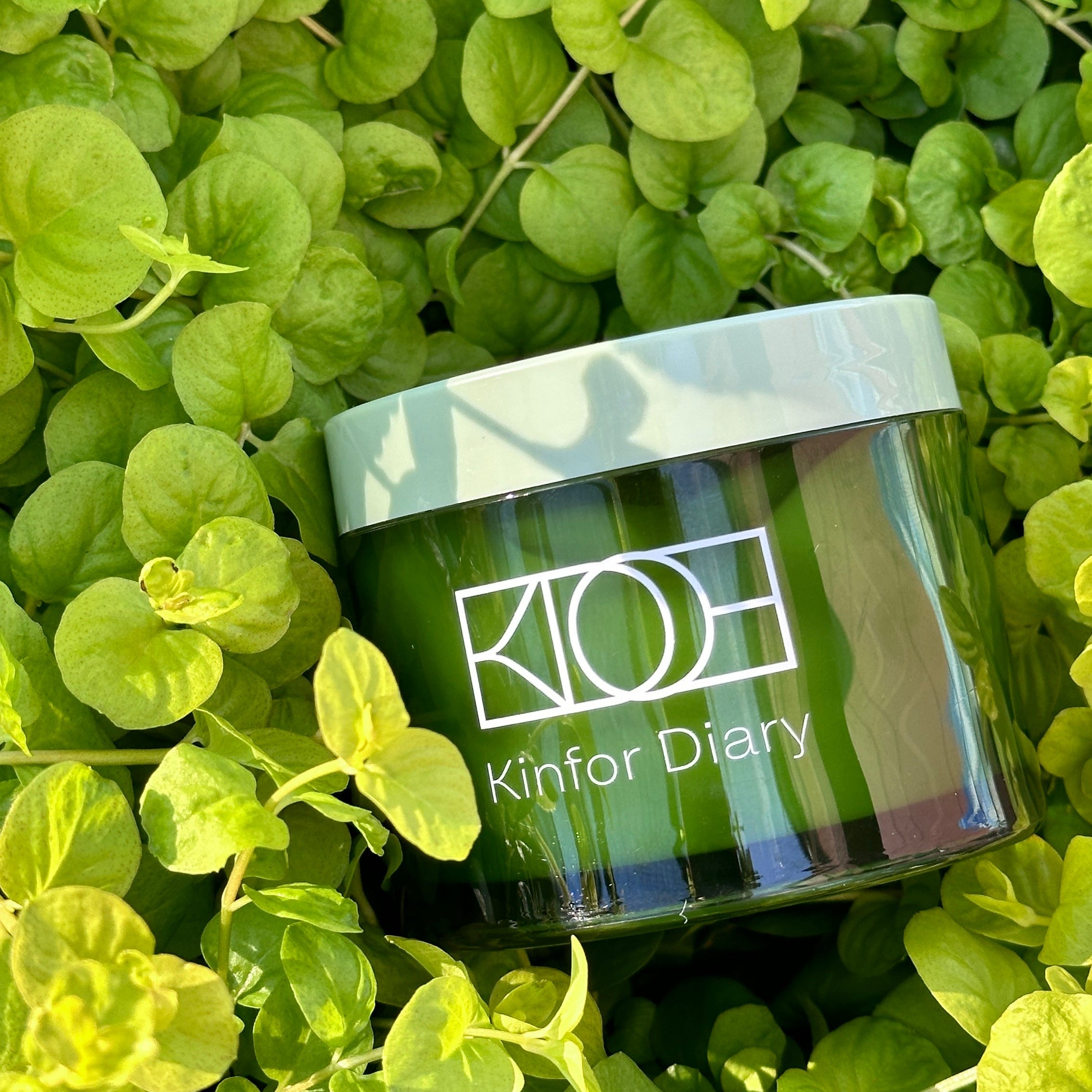 Green container labeled 'KINFOR Diary' on a bed of green leaves